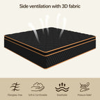 Hybrid Mattress | Memory Foam & Spring, Medium Firmness, Lumbar Support, Boxed – 10", 12" & 14" | Twin, Full, Queen, King