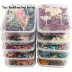 Dried Flowers for Crafts 4-Box Set Random Colors – For Candle Making, Resin Jewelry, Greeting Cards, Photo Frames, Scrapbooking & Halloween Decor