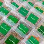 Dried Herbs Kit 30 Packs for Wicca Pagan Rituals Altar Supplies Magic Spells Witchcraft Supplies with Metal Spoon Witch Beginners Herb Set Halloween Spiritual Gift