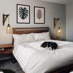 Plug-In Wall Sconces Farmhouse Rustic Metal Cage with Wooden Bracket – Hanging Lamps That Plug Into Wall Outlet for Bedroom, Living Room & Headboard – 1 or 2 Pack