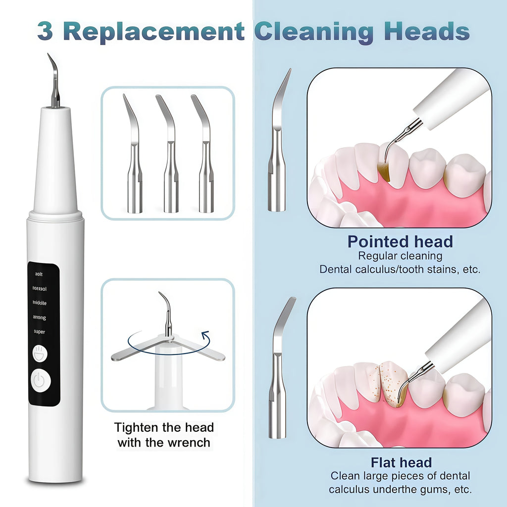 Electric Plaque Remover Teeth Cleaner - LED Light 5 Mode Rechargeable Dental Scaler 3 Stainless Steel Heads Home Travel Oral Care Tool