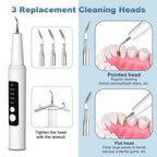 Electric Plaque Remover Teeth Cleaner - LED Light 5 Mode Rechargeable Dental Scaler 3 Stainless Steel Heads Home Travel Oral Care Tool