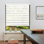 Cordless Zebra Blinds for Windows - Dual Layer Light Filtering & Blackout Roller Shades, Easy Install Custom Width 20"-64" x 72"H, Modern Window Treatment for Bedroom Living Room, 4 Colors