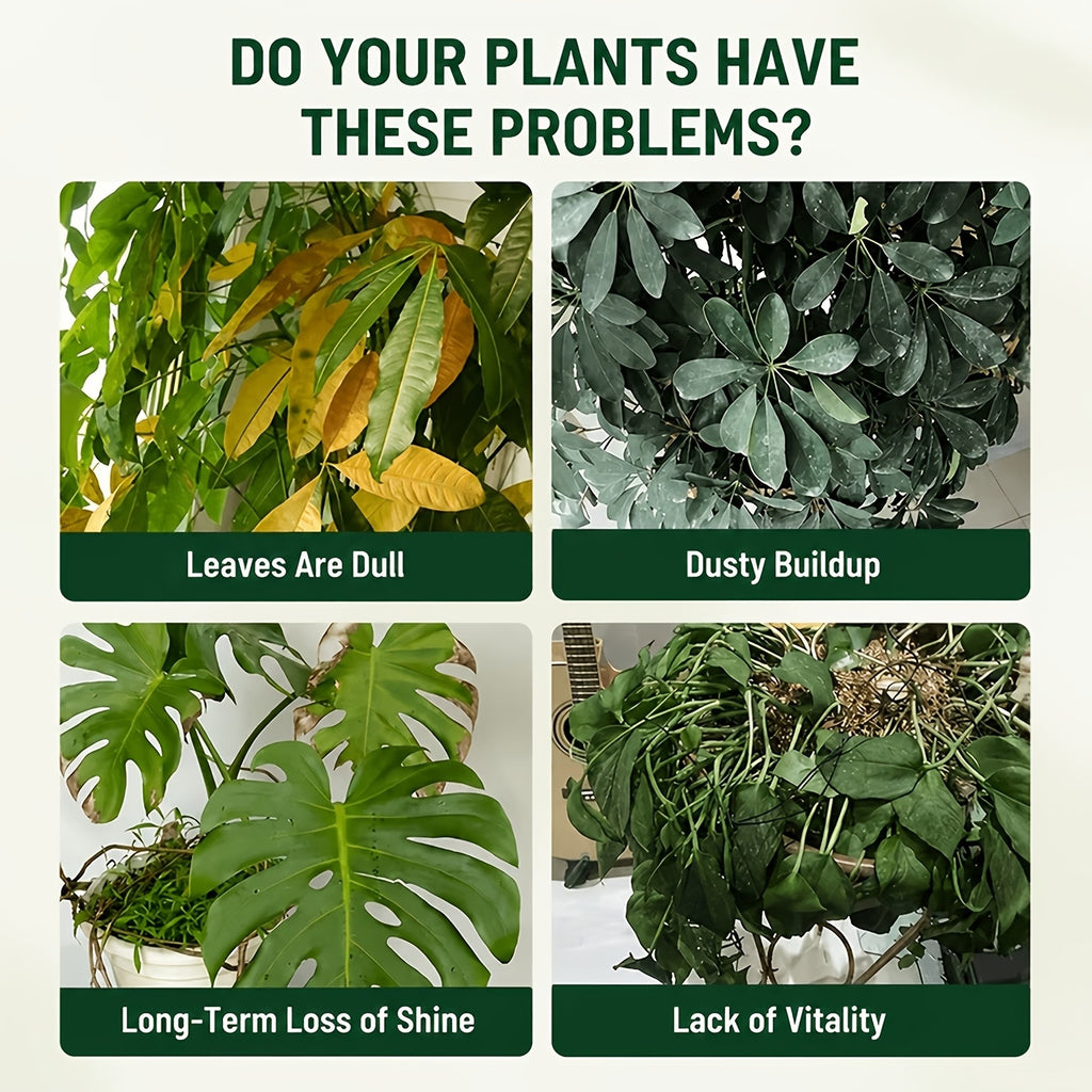 Plant Leaf Shine Spray 40ml – Removes Dust & Yellow, Restores Natural Gloss for Indoor & Outdoor Potted Plants