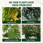 Plant Leaf Shine Spray 40ml – Removes Dust & Yellow, Restores Natural Gloss for Indoor & Outdoor Potted Plants