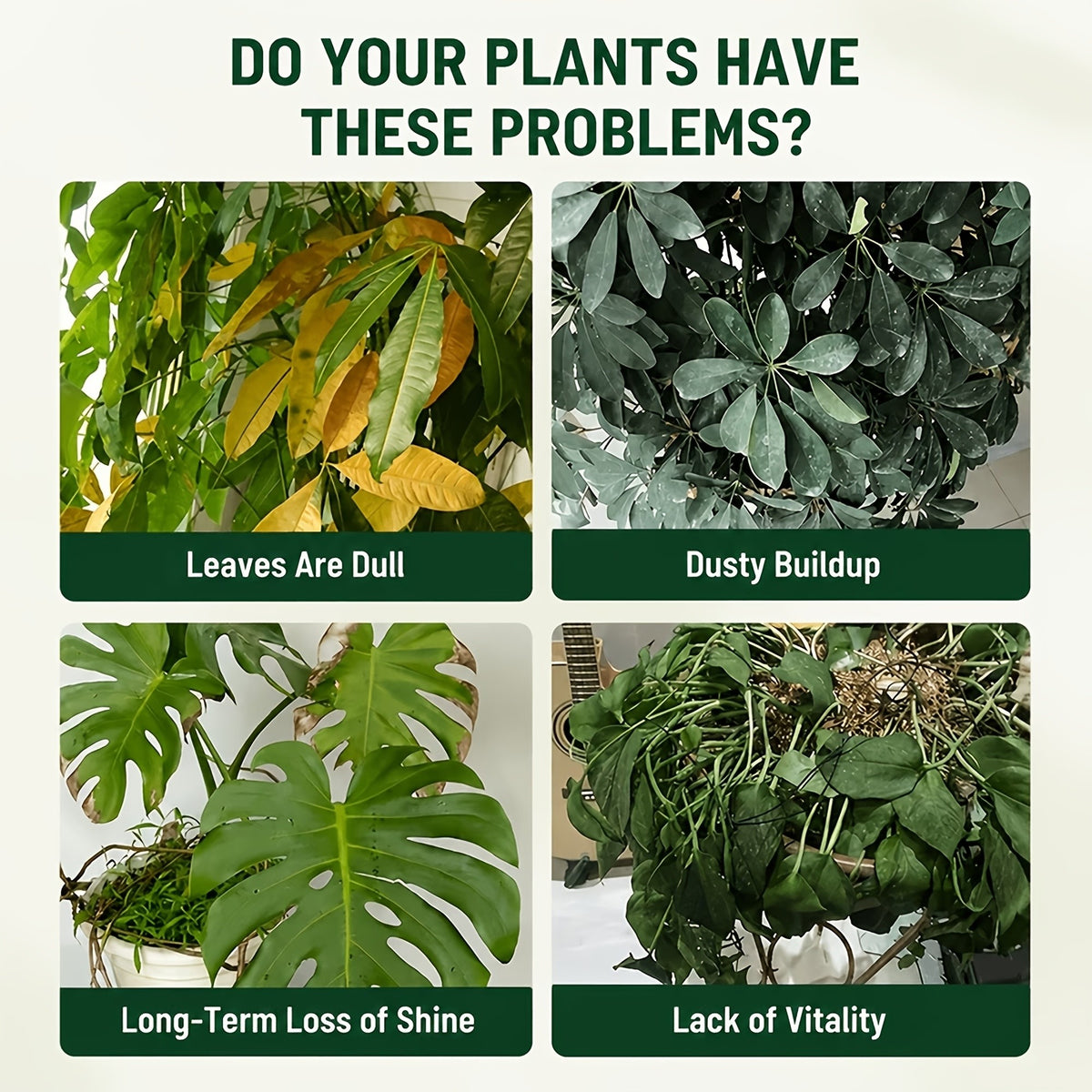 Plant Leaf Shine Spray 40ml – Removes Dust & Yellow, Restores Natural Gloss for Indoor & Outdoor Potted Plants