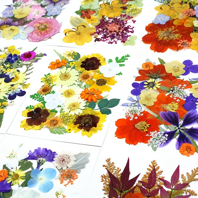 Pressed Dried Flowers Kit 500pcs Mixed Natural Dried Flower Leaves for Resin, Nail Art, Jewelry Making, Scrapbooking, Phone Cases & Floral Crafts, Vacuum Sealed Mixed Styles & Colors