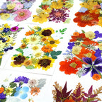 Pressed Dried Flowers Kit 500pcs Mixed Natural Dried Flower Leaves for Resin, Nail Art, Jewelry Making, Scrapbooking, Phone Cases & Floral Crafts, Vacuum Sealed Mixed Styles & Colors