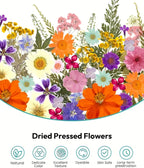 Pressed Dried Flowers Kit 500pcs Mixed Natural Dried Flower Leaves for Resin, Nail Art, Jewelry Making, Scrapbooking, Phone Cases & Floral Crafts, Vacuum Sealed Mixed Styles & Colors
