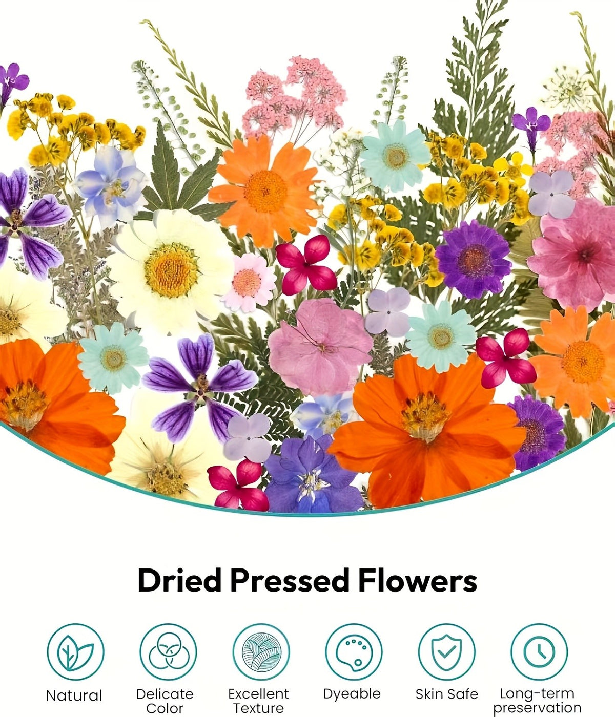 Pressed Dried Flowers Kit 500pcs Mixed Natural Dried Flower Leaves for Resin, Nail Art, Jewelry Making, Scrapbooking, Phone Cases & Floral Crafts, Vacuum Sealed Mixed Styles & Colors