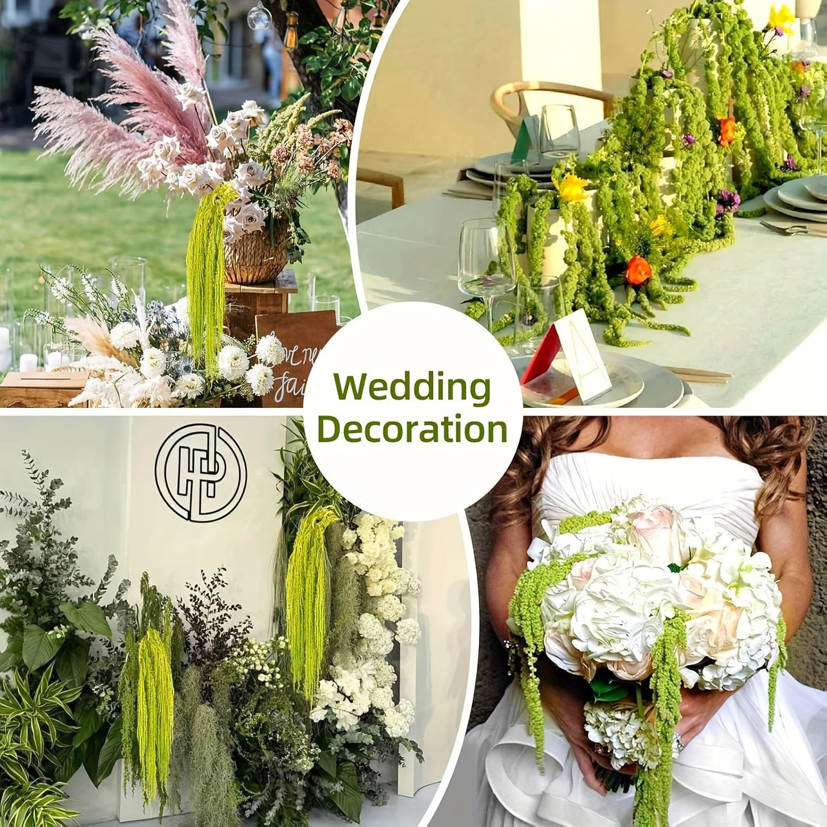 Dried Green Amaranth Hanging Flowers 10pcs 23-27 Inch - Bohemian Wisteria Floral Stems for Wedding Centerpiece, Bridal Bouquet, Photography Prop, Christmas & Valentine's Day Decor