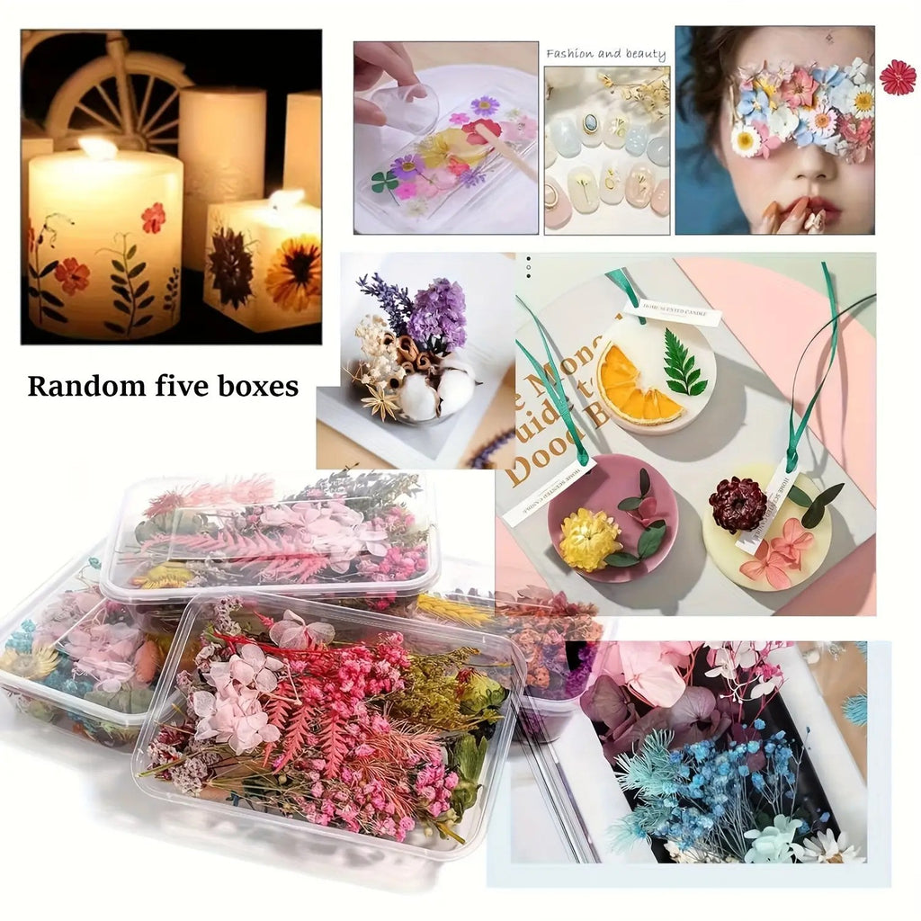 Dried Flowers for Crafts 4-Box Set Random Colors – For Candle Making, Resin Jewelry, Greeting Cards, Photo Frames, Scrapbooking & Halloween Decor