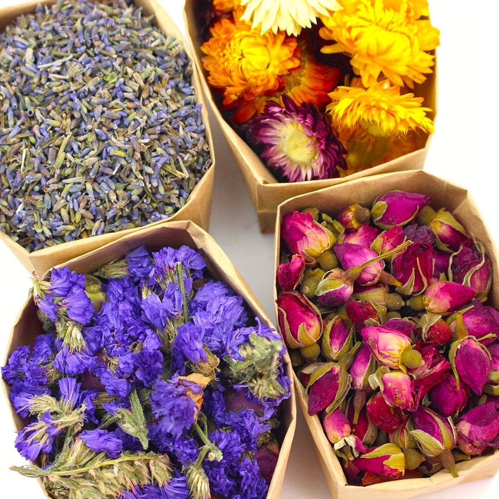 Dried Flowers Craft Set 24pcs Roses Jasmine Peony Lavender Forget-Me-Not Dried Plant Kit for Resin Jewelry Making DIY Candle Soap Scrapbooking Seasonal Decor