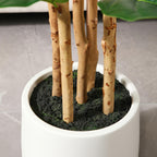 Artificial Fiddle Leaf Fig Tree 5ft Tall Faux Ficus with White Planter Natural Wood Trunk Fake Moss for Indoor Outdoor Living Room Office Porch Home Decor