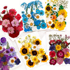 Pressed Dried Flowers Kit 500pcs Mixed Natural Dried Flower Leaves for Resin, Nail Art, Jewelry Making, Scrapbooking, Phone Cases & Floral Crafts, Vacuum Sealed Mixed Styles & Colors