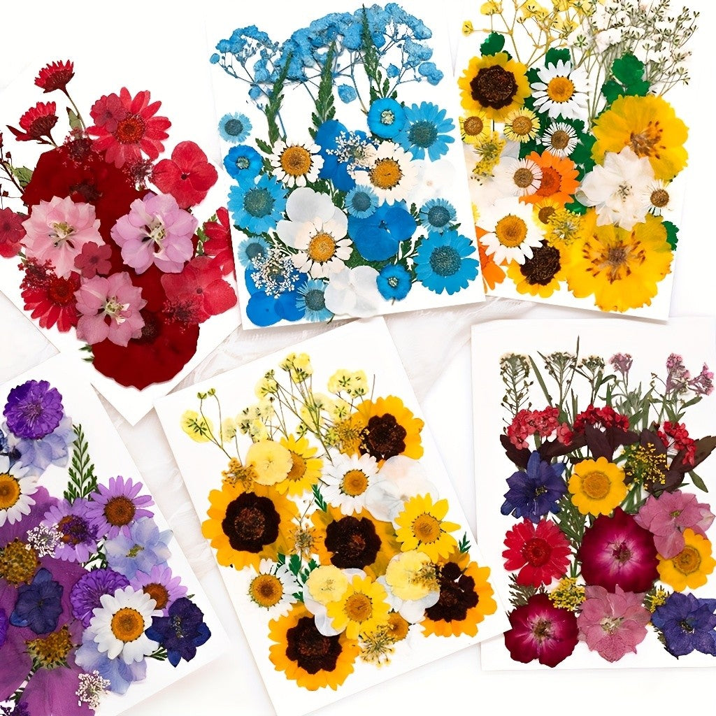 Pressed Dried Flowers Kit 500pcs Mixed Natural Dried Flower Leaves for Resin, Nail Art, Jewelry Making, Scrapbooking, Phone Cases & Floral Crafts, Vacuum Sealed Mixed Styles & Colors