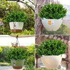 Artificial Boxwood Shrubs 10 Bundles UV Resistant – Realistic Faux Hedge Greenery for Garden, Patio, Backyard, Home & Office – Low Maintenance Boxwood Stems for Weddings & Outdoor Decor