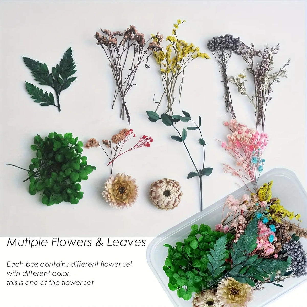 Dried Flowers for Crafts 4-Box Set Random Colors – For Candle Making, Resin Jewelry, Greeting Cards, Photo Frames, Scrapbooking & Halloween Decor