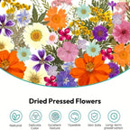 Pressed Dried Flowers Kit 500pcs Mixed Natural Dried Flower Leaves for Resin, Nail Art, Jewelry Making, Scrapbooking, Phone Cases & Floral Crafts, Vacuum Sealed Mixed Styles & Colors