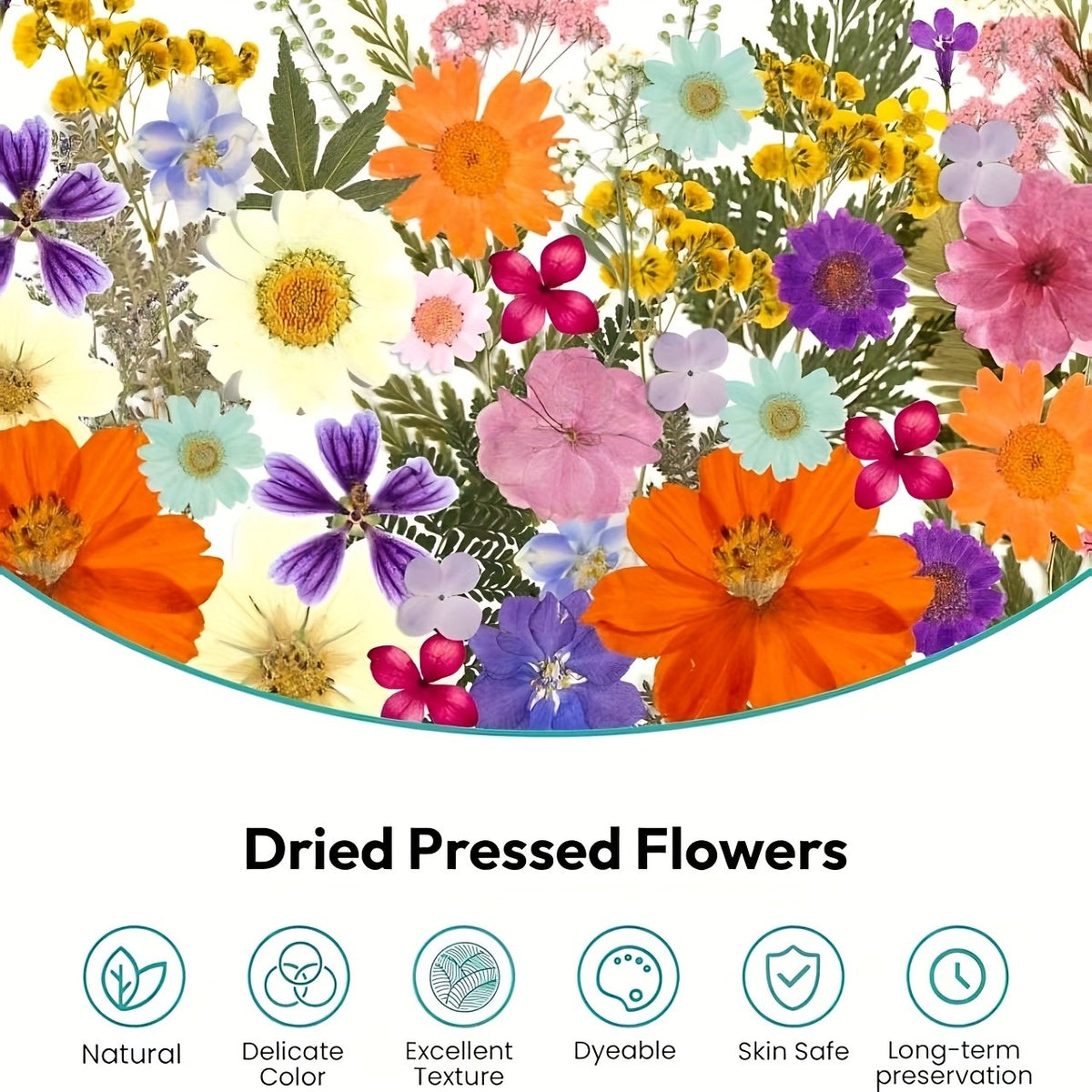 Pressed Dried Flowers Kit 500pcs Mixed Natural Dried Flower Leaves for Resin, Nail Art, Jewelry Making, Scrapbooking, Phone Cases & Floral Crafts, Vacuum Sealed Mixed Styles & Colors