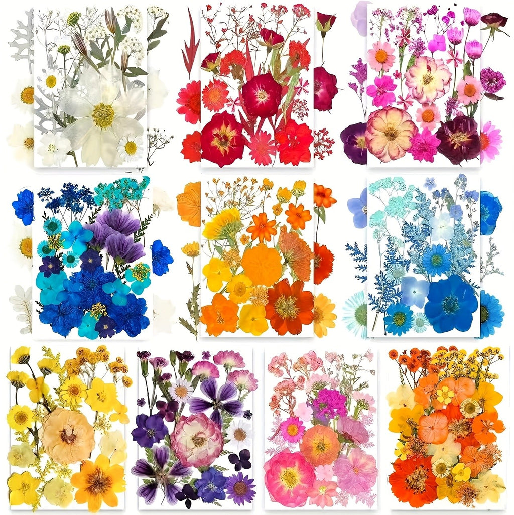 Pressed Dried Flowers Kit 500pcs Mixed Natural Dried Flower Leaves for Resin, Nail Art, Jewelry Making, Scrapbooking, Phone Cases & Floral Crafts, Vacuum Sealed Mixed Styles & Colors