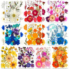 Pressed Dried Flowers Kit 500pcs Mixed Natural Dried Flower Leaves for Resin, Nail Art, Jewelry Making, Scrapbooking, Phone Cases & Floral Crafts, Vacuum Sealed Mixed Styles & Colors