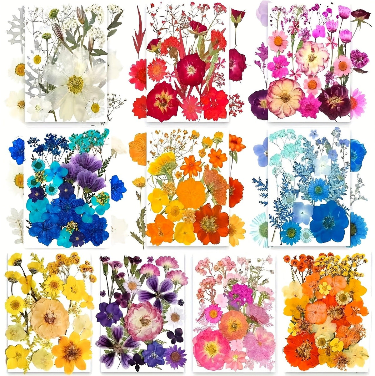 Pressed Dried Flowers Kit 500pcs Mixed Natural Dried Flower Leaves for Resin, Nail Art, Jewelry Making, Scrapbooking, Phone Cases & Floral Crafts, Vacuum Sealed Mixed Styles & Colors