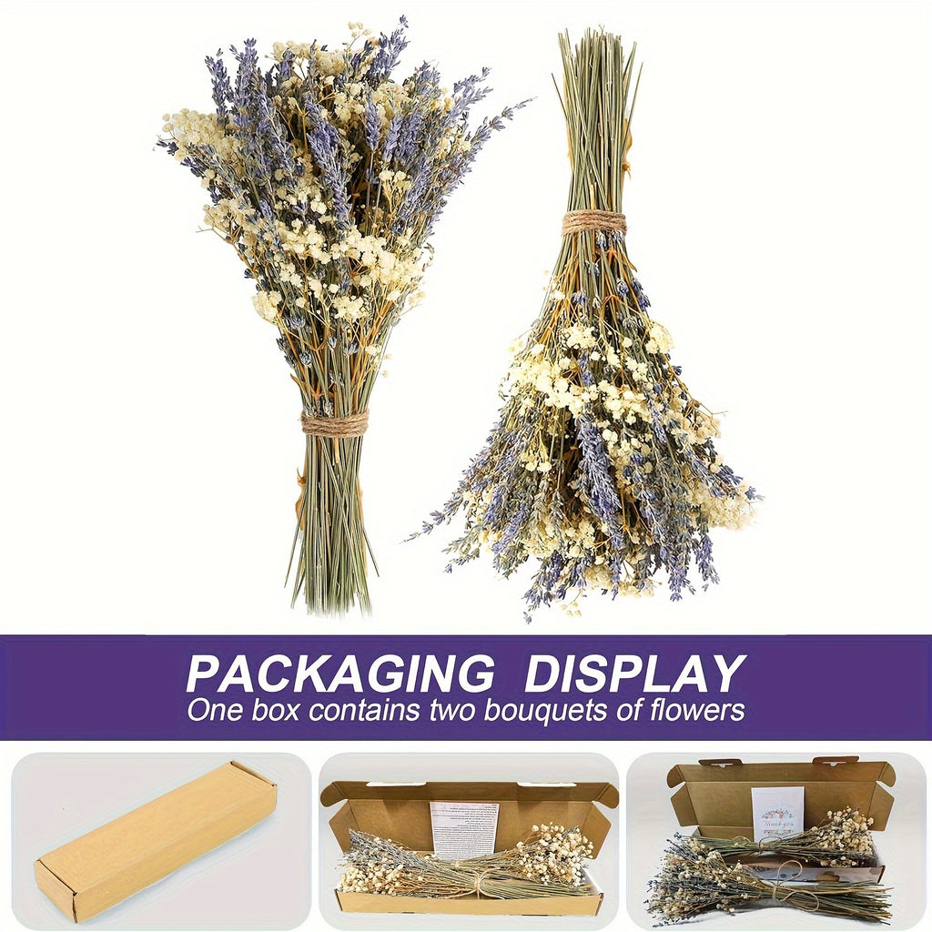 Dried Lavender & Baby’s Breath Flower Bundles 2 Bunches 17 Inch – Dried Gypsophila Bouquet for Vase, Home Decor, Wedding, Photography & DIY Wreath – Valentine’s Day Floral Arrangement Gift