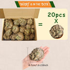Rose of Jericho 20pcs Dried Sacred Resurrection Plant – Selaginella Lepidophylla Prayer Plant for Spiritual Cleansing, Luck & Home Decor