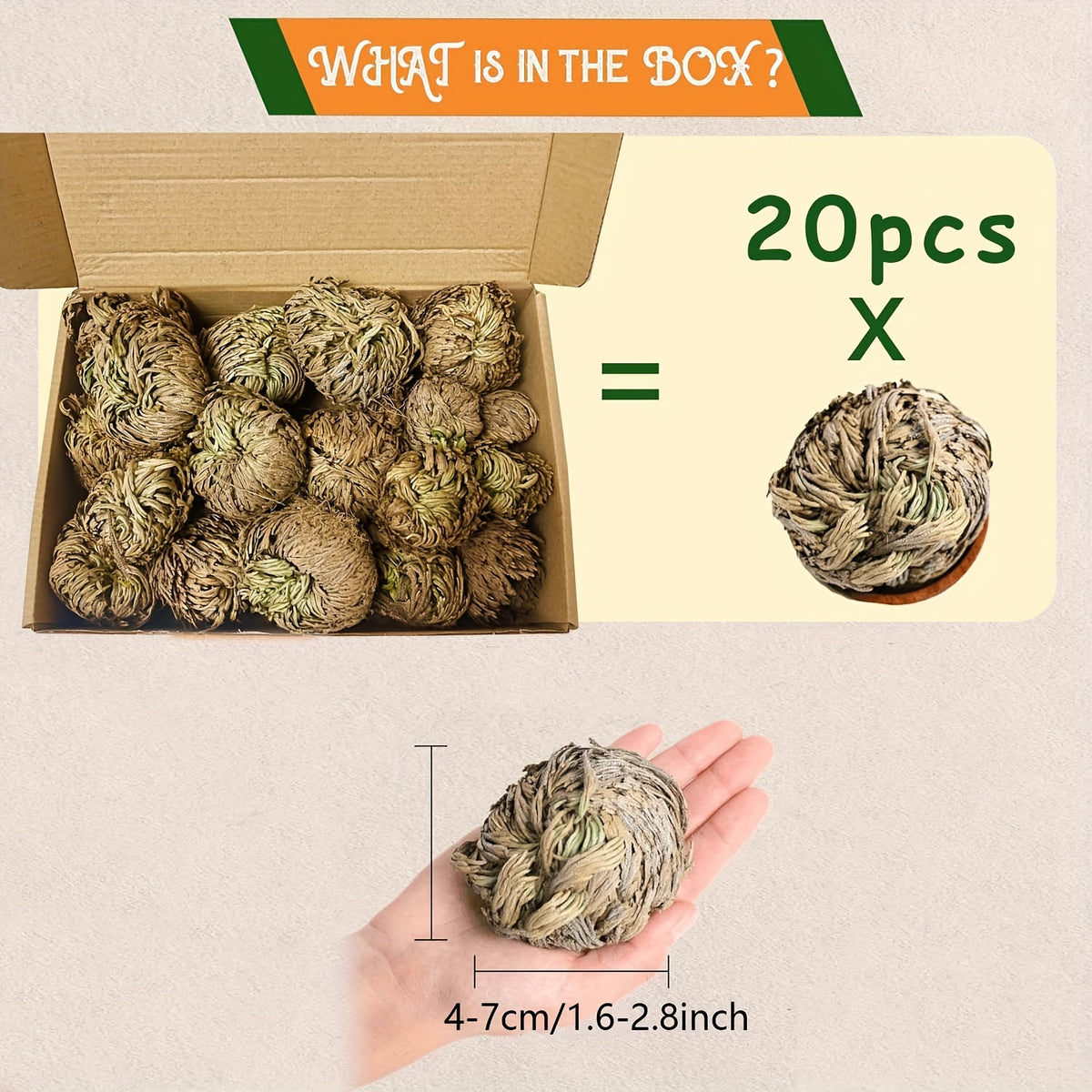 Rose of Jericho 20pcs Dried Sacred Resurrection Plant – Selaginella Lepidophylla Prayer Plant for Spiritual Cleansing, Luck & Home Decor