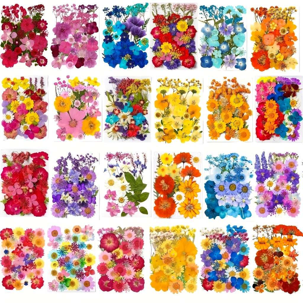 Pressed Dried Flowers Kit 500pcs Mixed Natural Dried Flower Leaves for Resin, Nail Art, Jewelry Making, Scrapbooking, Phone Cases & Floral Crafts, Vacuum Sealed Mixed Styles & Colors