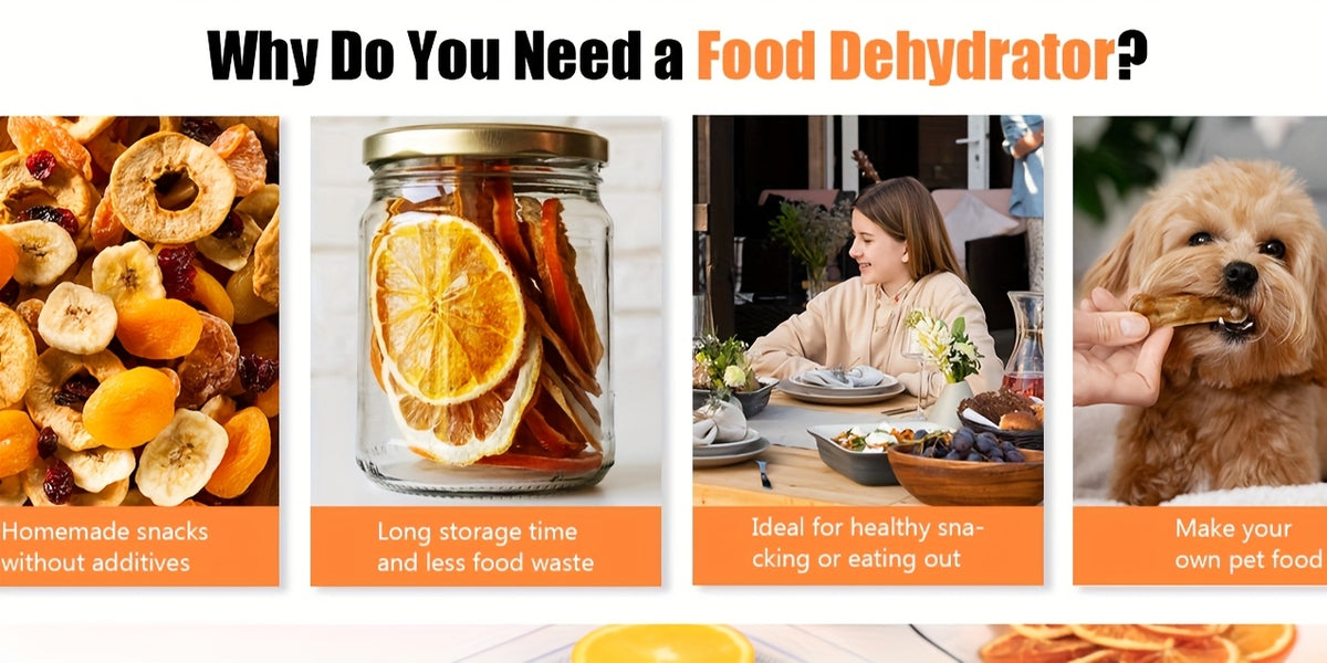 Food Dehydrator Machine 5 Stainless Steel Trays 420W 48H Timer 95-160F Temp Control for Jerky Herbs Meat Fruit with Recipe Book
