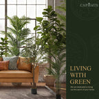 Artificial Palm Tree 5 6 7 Feet Lifelike Faux Potted Plant with Moss Indoor Home Office Living Room Decor Housewarming Gift