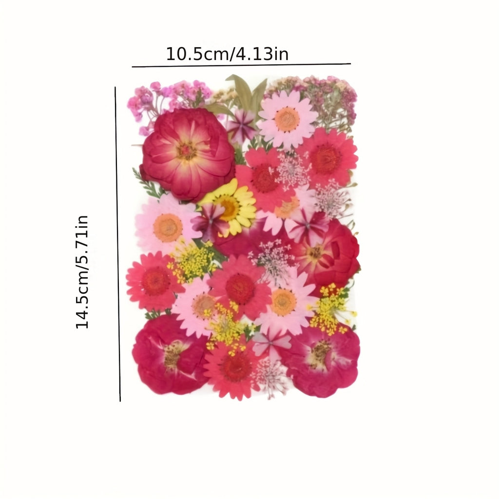 Pressed Dried Flowers Kit 500pcs Mixed Natural Dried Flower Leaves for Resin, Nail Art, Jewelry Making, Scrapbooking, Phone Cases & Floral Crafts, Vacuum Sealed Mixed Styles & Colors