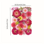 Pressed Dried Flowers Kit 500pcs Mixed Natural Dried Flower Leaves for Resin, Nail Art, Jewelry Making, Scrapbooking, Phone Cases & Floral Crafts, Vacuum Sealed Mixed Styles & Colors