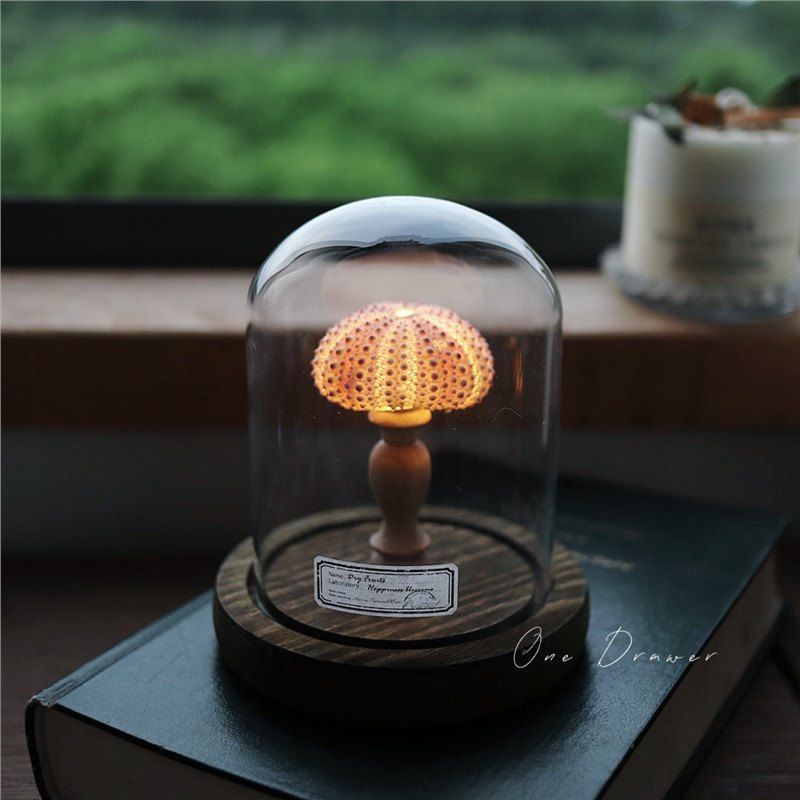 Handmade Sea Urchin Night Light Shell Lamp Ornament - Ocean Island Retro Coastal Decor, Unique Bedroom Bedside Table Lamp Gift, Powder Green Purple