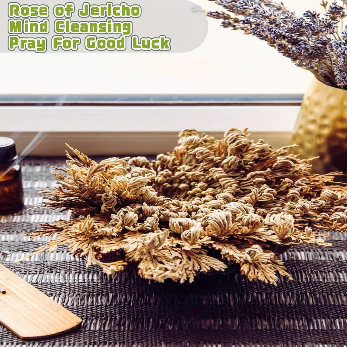 Rose of Jericho 20pcs Dried Sacred Resurrection Plant – Selaginella Lepidophylla Prayer Plant for Spiritual Cleansing, Luck & Home Decor
