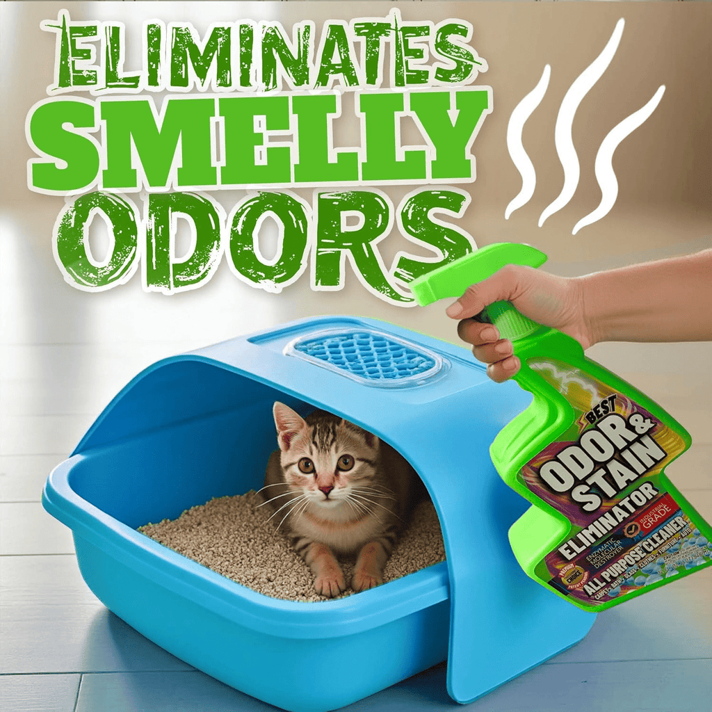Pet Odor & Stain Eliminator Enzyme Spray 3-Pack – All-Natural Enzyme Cleaner for Dog & Cat Urine, Carpet, Upholstery, Tile & Multi-Surface Messes, Safe for Pets & Children