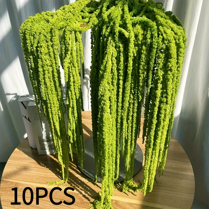 Dried Green Amaranth Hanging Flowers 10pcs 23-27 Inch - Bohemian Wisteria Floral Stems for Wedding Centerpiece, Bridal Bouquet, Photography Prop, Christmas & Valentine's Day Decor