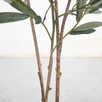 Artificial Olive Tree with Realistic Black Fruits – 4 Heights 47–83 Inch Nordic Mediterranean Faux Plant for Living Room, Kitchen, Hotel & Office | No Maintenance Indoor Decor