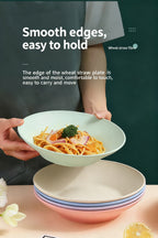 Colorful Wheat Straw Dining Plates 10-Pack – Anti-Drop Reusable Plates, Dishwasher & Microwave Safe for Home & Kitchen