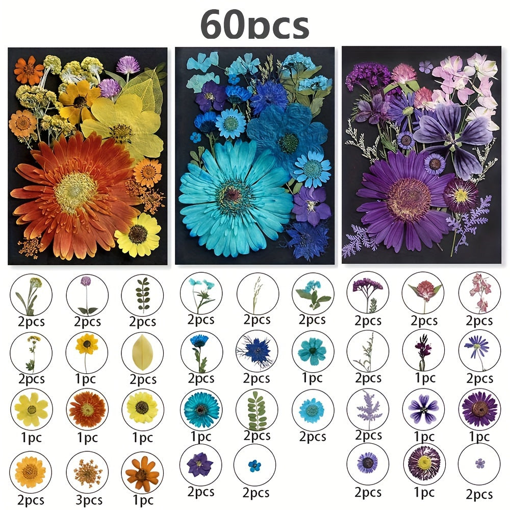 Dried Pressed Flowers 60pcs with Natural Herbs Kit – Real Pressed Flowers & Dry Leaves Bulk for Epoxy Resin Jewelry, Scrapbooking, DIY Crafts, Candle & Soap Making, Nail Décor (2 Styles)