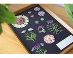 Dried Pressed Flowers 60pcs with Natural Herbs Kit – Real Pressed Flowers & Dry Leaves Bulk for Epoxy Resin Jewelry, Scrapbooking, DIY Crafts, Candle & Soap Making, Nail Décor (2 Styles)