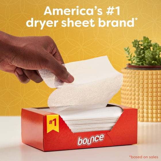 Fresh Scent Laundry Dryer Sheets 58 Count Value Pack – Everyday Fabric Softener & Static Control for Clothes, Linens & Household Fabrics with Outdoor-Inspired Fragrance